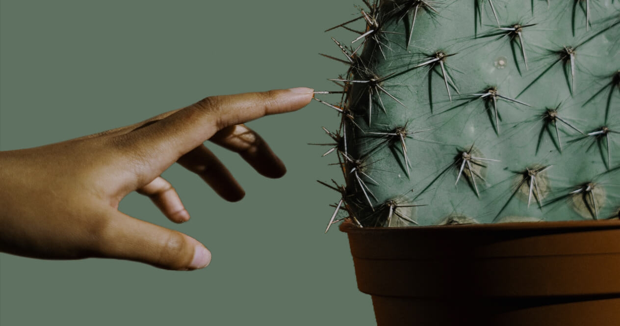 Finger touching cactus plant